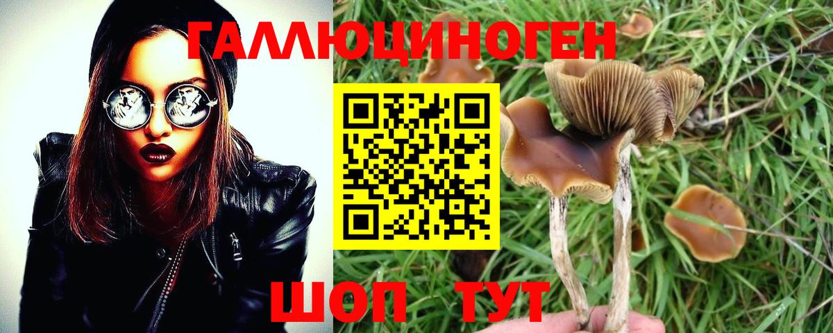 Псилоцибиновые грибы Psilocybine cubensis  Вход с VPN  Кстово 